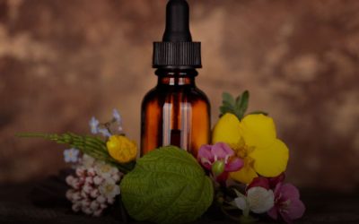 Flores de Bach: qué son y para qué sirven